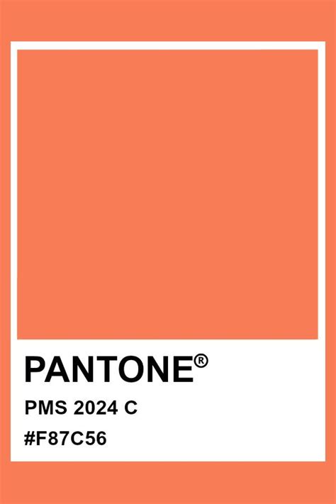 pantone color of the year 2024 palette